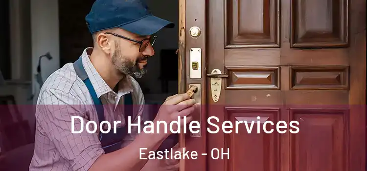 Door Handle Services Eastlake - OH