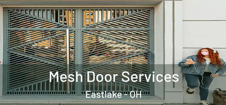 Mesh Door Services Eastlake - OH
